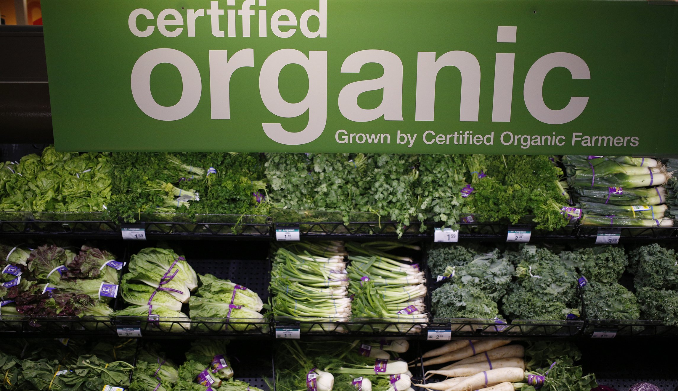 Why not genetically engineered organic foods?