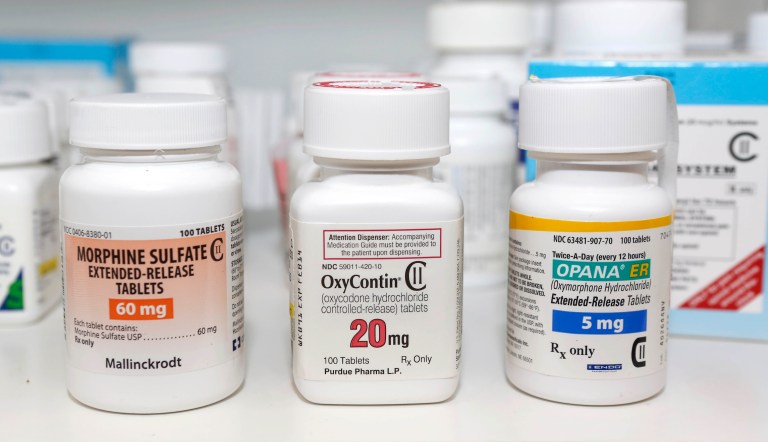 In this Jan. 18, 2013 file photo, Schedule 2 narcotics: Morphine Sulfate, OxyContin and Opana are displayed for a photograph in Carmichael, Calif. A Nevada legislator asked the drug company that makes OxyContin to turn over information about Nevada doctors suspected of overprescribing the powerful pain medication. Sen. Tick Segerblom, D-Las Vegas, wrote a letter to the president of the drug-maker Purdue Pharam on Friday saying the company has an ethical duty to provide the information to the Nevada Board of Medical Examiners.