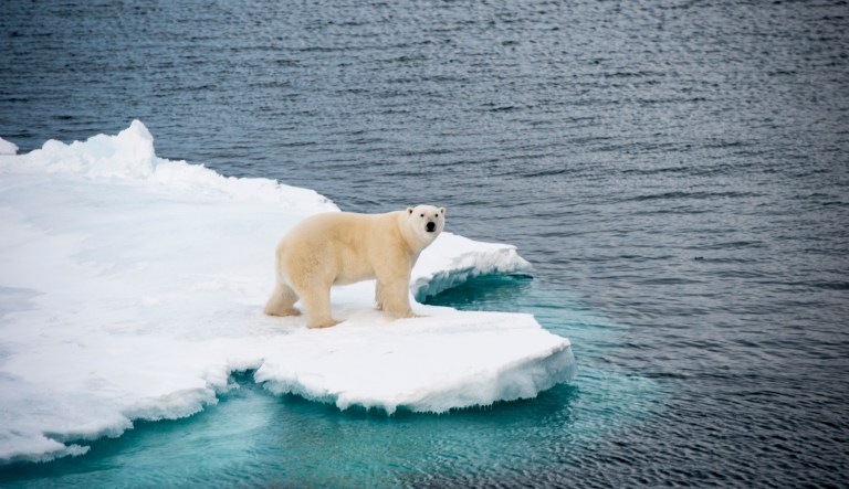 Greenpeace co-founder joins climate change skeptics