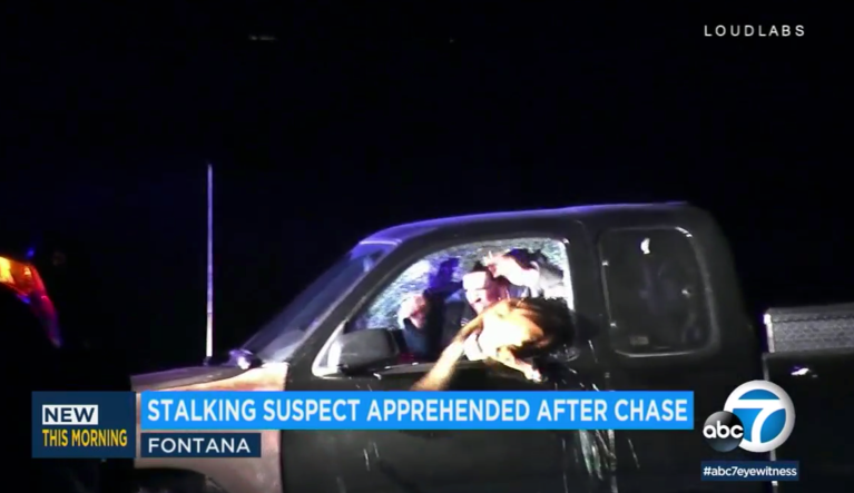 ‘Awesome display of athleticism’: K-9 breaks through car window to take down suspect (VIDEO)