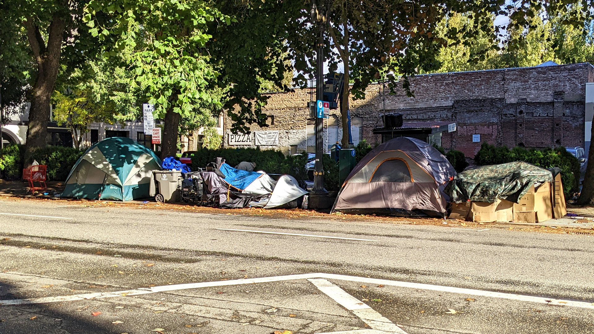 Portland thinks DEI  can fix homelessness