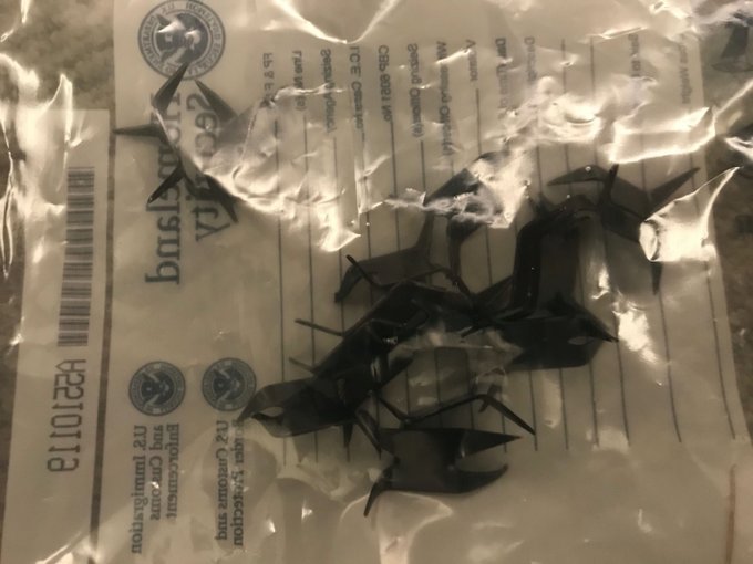 CBP chief: ‘Criminals’ in Portland used metal spikes to target federal vehicles