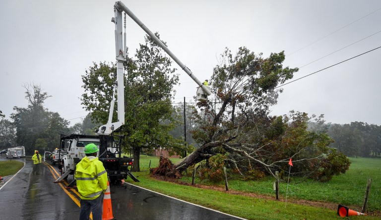 Work crews from Asplundh Tree Expert Company cut away tree limbs from a power line after a huge tree fell on Spainhour Road as a result of steady rainfall from the effects of Tropical Storm Florence, Sunday, Sept. 16, 2018 in Morganton, N.C.