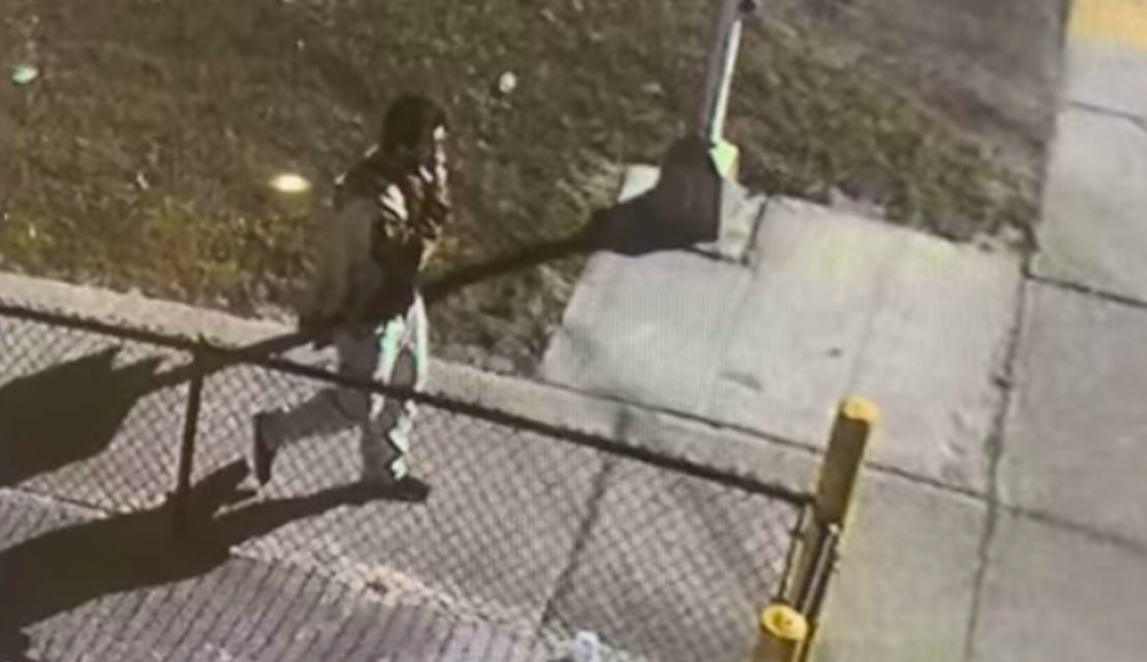 Florida man steals car carrying $10,000 worth of COVID-19 vaccine: Police