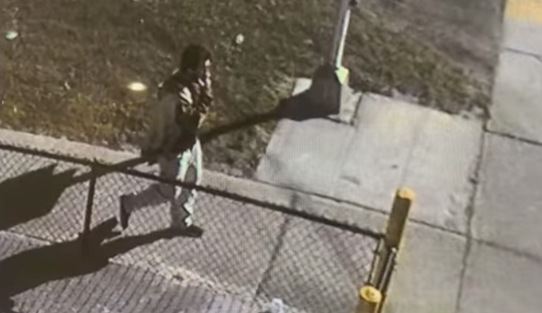 Florida man steals car carrying $10,000 worth of COVID-19 vaccine: Police