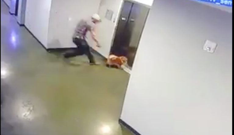 WATCH: Man saves dog after leash gets caught in elevator
