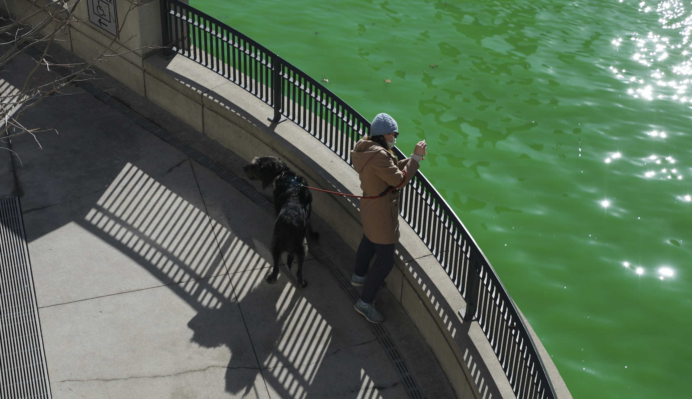 Chicago surprises residents with bright green river after saying it would dispense with St. Patrick’s Day tradition