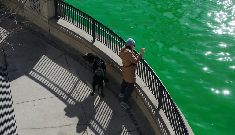 People catch glimpses of the Chicago River dyed green in celebration of St. Patrick's Day on March 13, 2021 in Chicago. Mayor Lightfoot sanctioned the famous river dyeing to proceed Saturday, but the Riverwalk was closed to minimize the number of people gathering due to COVID-19.