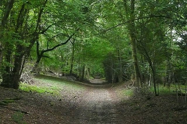 Prufrock: Paul Allen’s Art, in Praise of William Hazlitt, and How Not to Write a Review