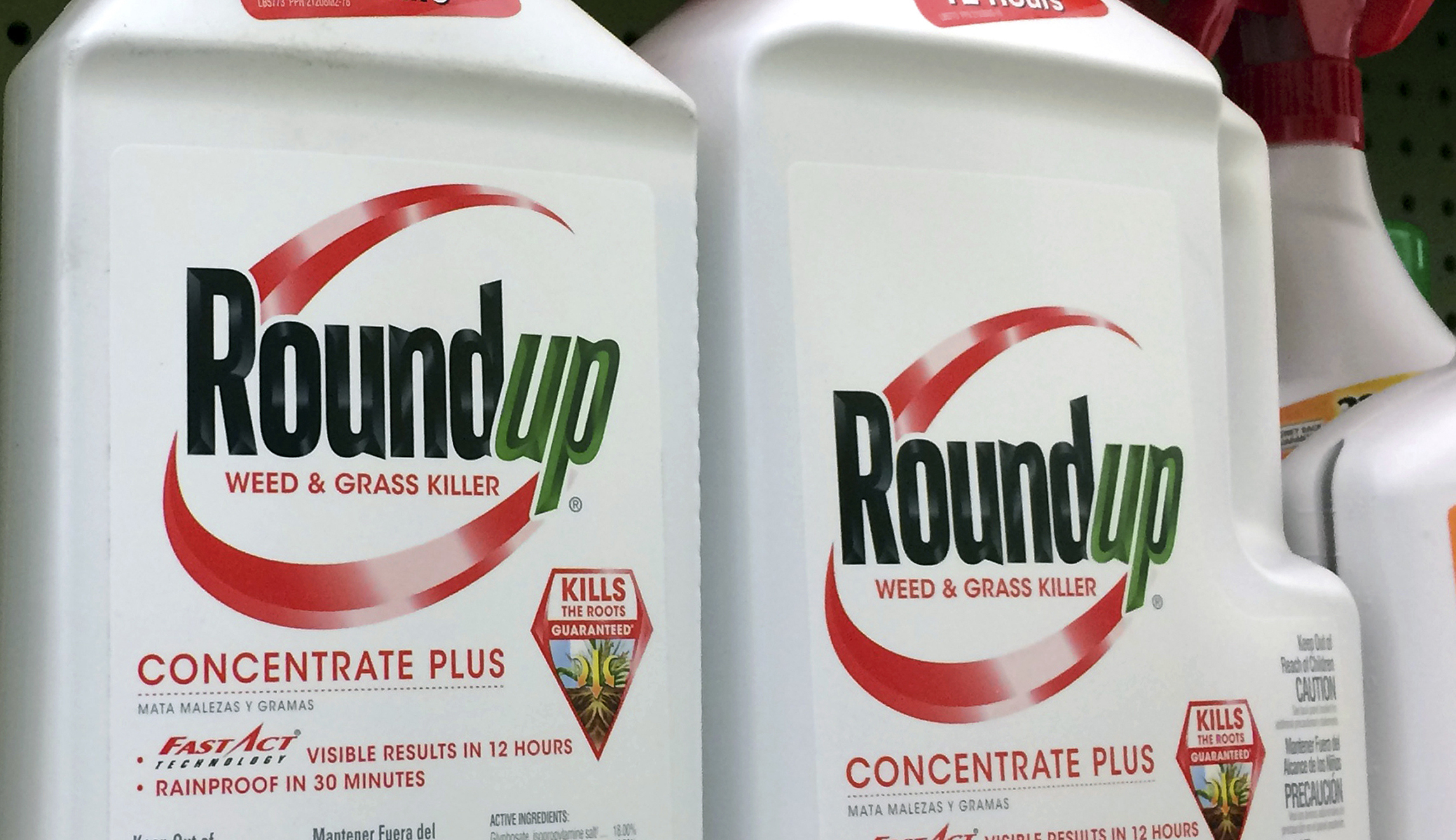 Carcinogenic junk science is finding its way into the courtroom