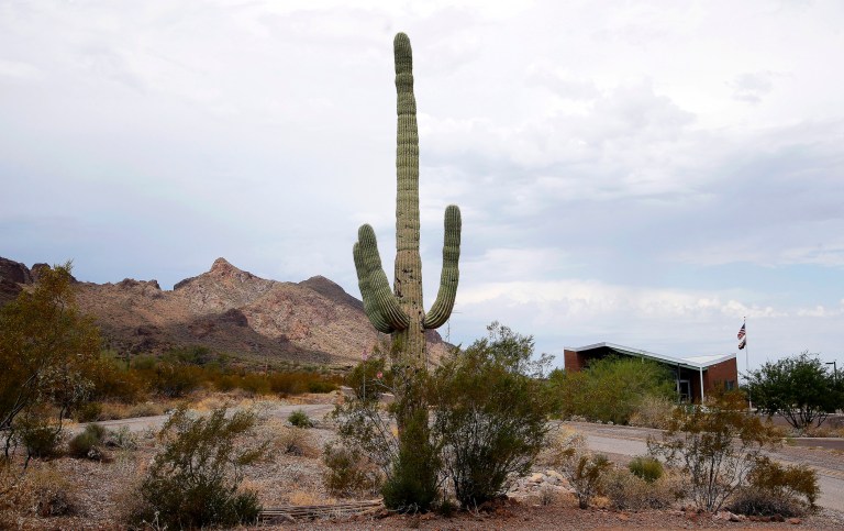 In this July 31, 2015 photo, a lone saguaro looms over the entrance of the Picacho Peak State Park in Picacho, Arizona. 