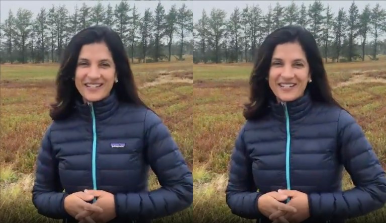 Top Democrat from L.L. Bean town erases logo from her Patagonia jacket in campaign video