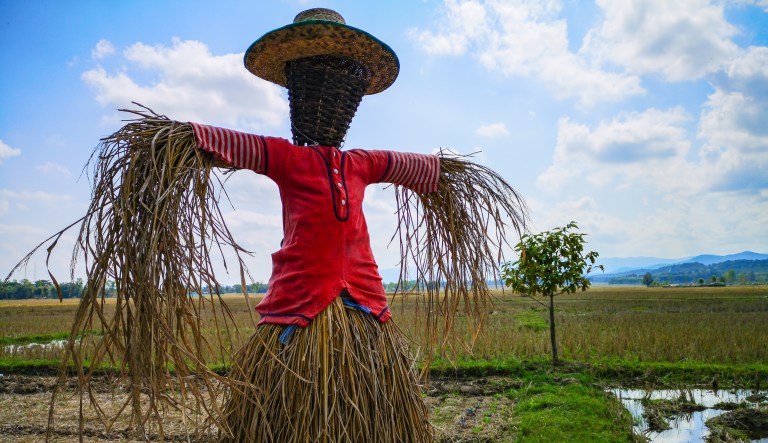 ‘Went too far’: Man changes Halloween display showing Trump holding Obama head