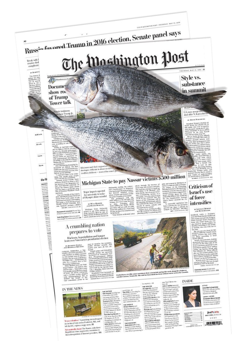 Criminally Negligent