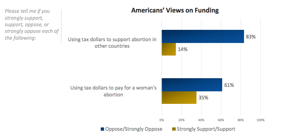 Poll: 8 of 10 Americans oppose subsidizing international abortions