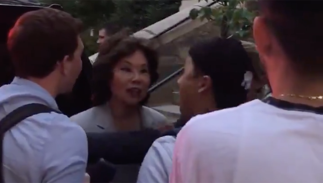 Elaine Chao physically blocks protesters from husband Mitch McConnell