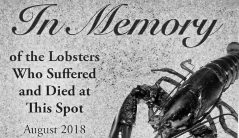 Maine kills PETA’s lobster tombstone request