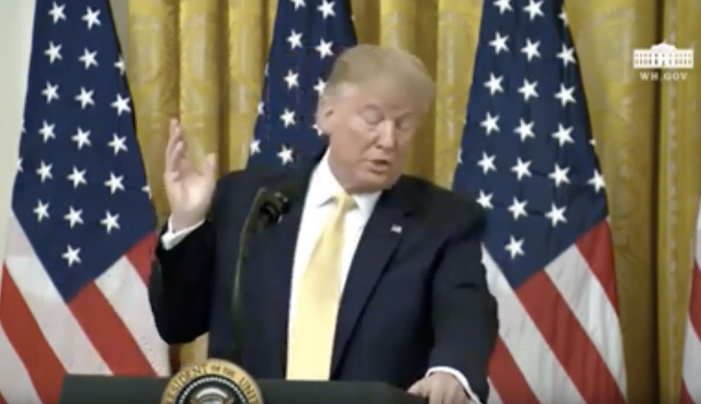 WATCH: Fly harasses Trump during White House speech