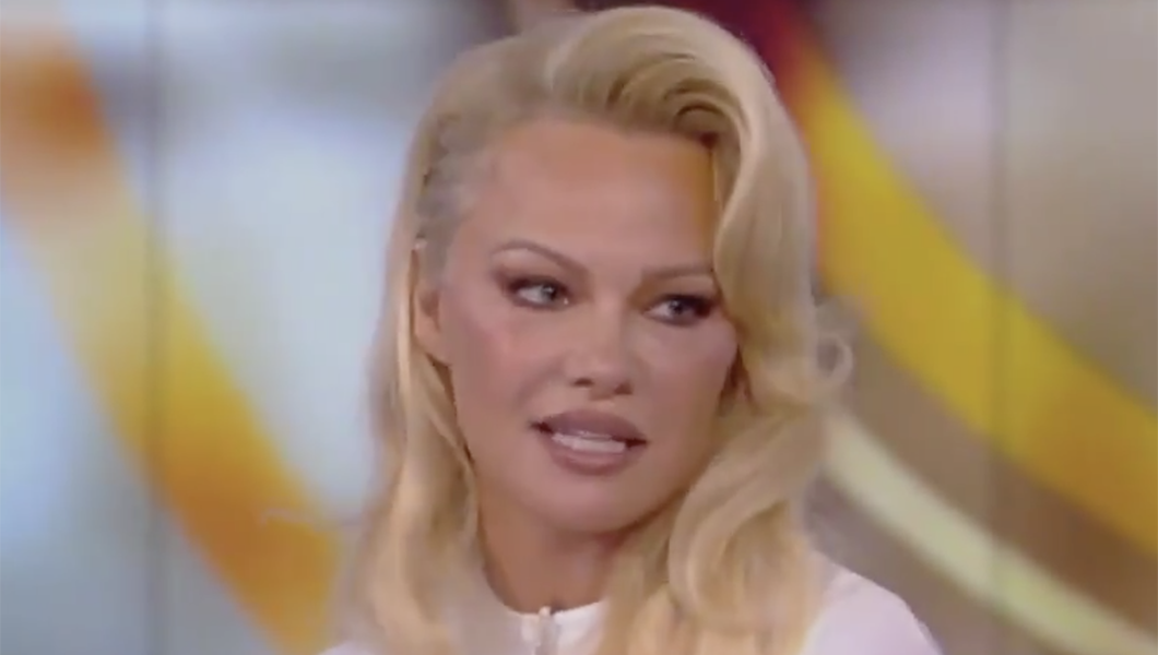 Pamela Anderson is a washed-up Russia apologist, not a #Resistance hero