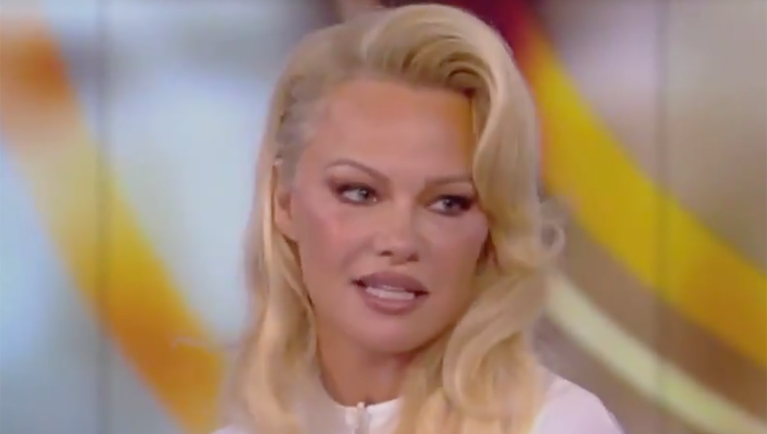 Pamela Anderson is a washed-up Russia apologist, not a #Resistance hero