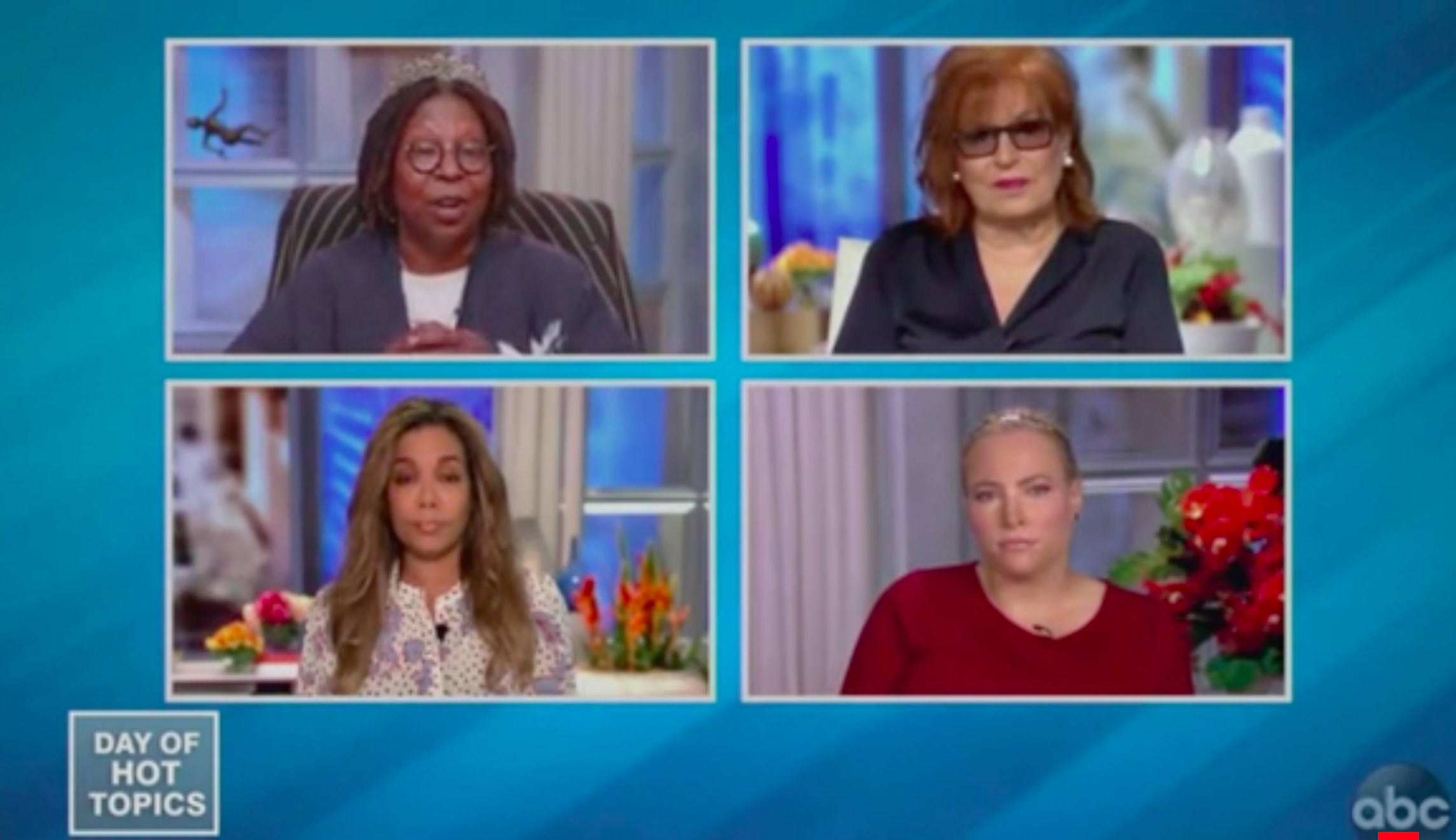 Meghan McCain fumes after Joy Behar accuses GOP of not caring about children’s education
