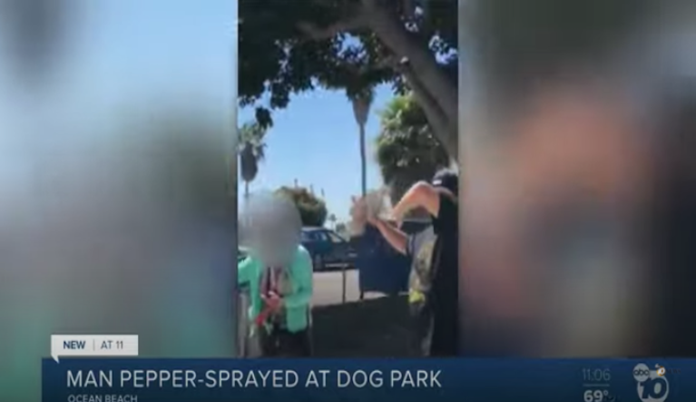 California woman says husband was pepper-sprayed for not wearing face mask at dog park