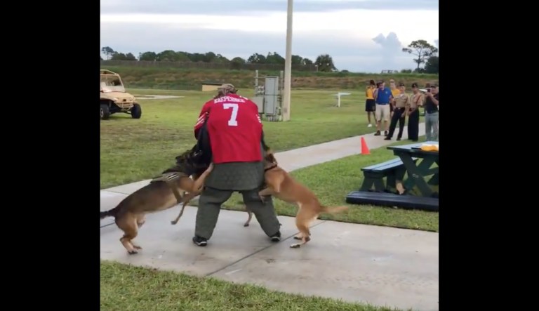 Navy investigating video of dogs attacking man in Colin Kaepernick jersey during demonstration