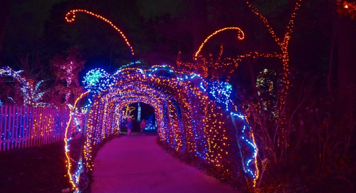 Canceling Christmas lights and monkey bars? Do they just love lockdowns?