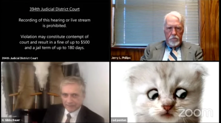 Lawyer unable to scratch cat filter in Zoom court hearing makes for purrfect viral moment