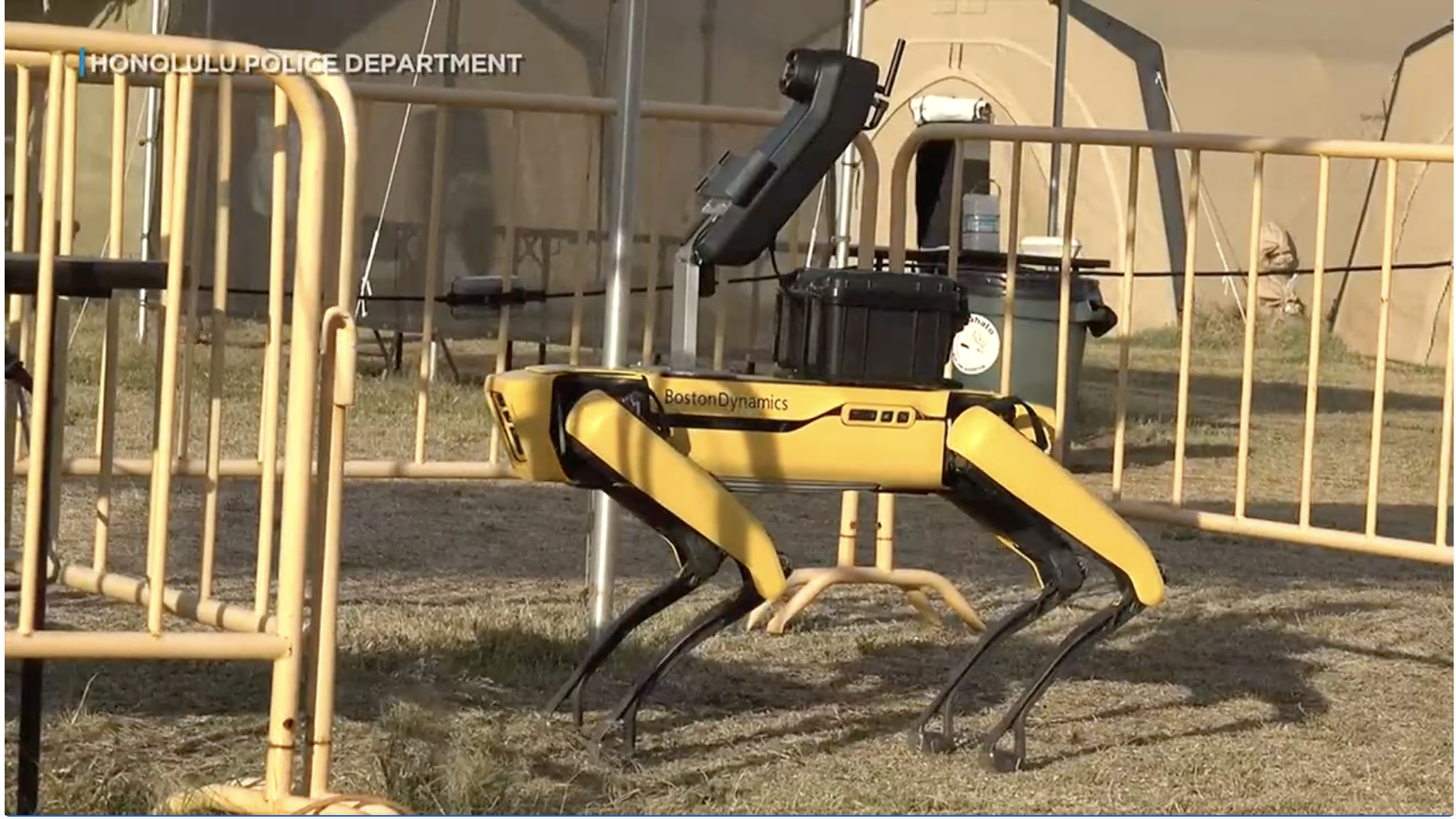 Honolulu police using robot dog to take temperatures of homeless people