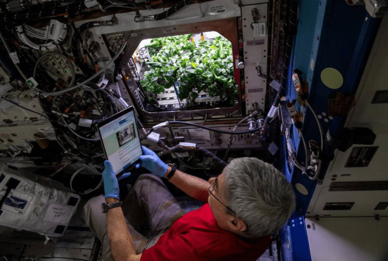 Astronauts enjoy tacos that are ‘out of this world’