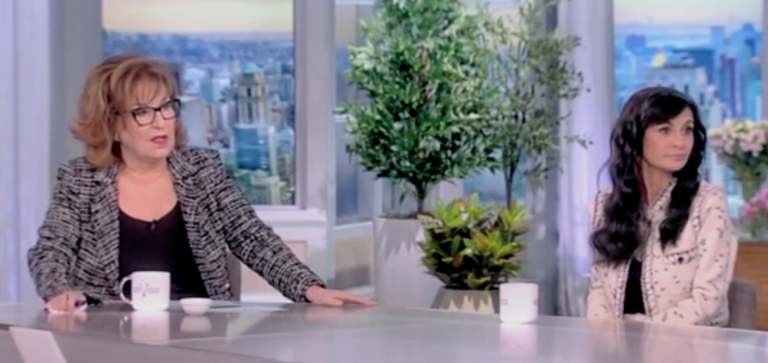 WATCH: The View hosts say, ‘No one needs an AR-15,’ blame NYC shooting on guns