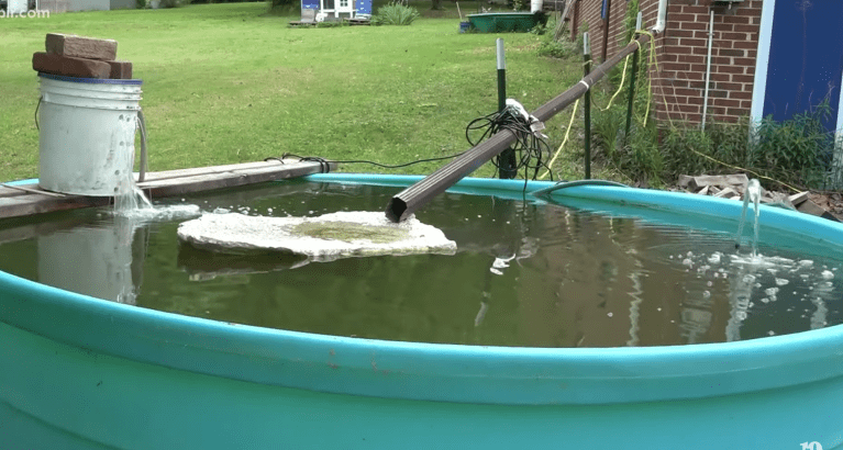 WATCH: Tennessee man farming his own fish in battle against rising food prices