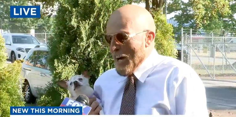 Anything is paw-sible: Pebbles the terrier named oldest living dog at 22