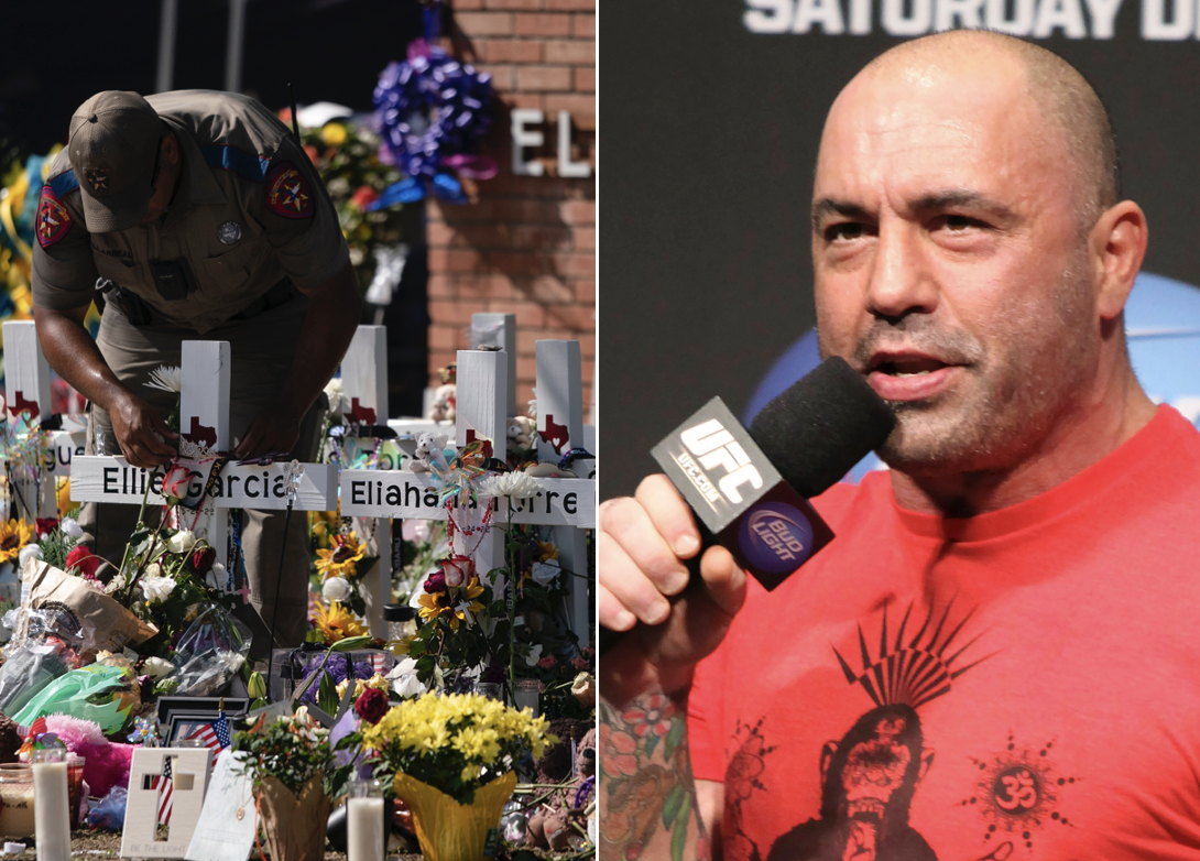 ‘Only criminals are gonna have guns’: Rogan warns against tyrannical confiscation