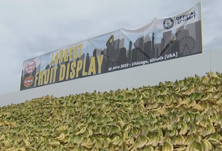 SEE IT: Chicago ‘goes bananas’ breaking record for largest fruit display