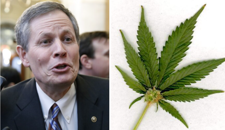 Why is Steve Daines working so hard to get people addicted to marijuana?