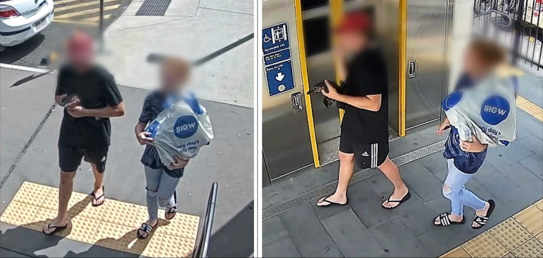 Australian police searching for stolen platypus after arresting suspect