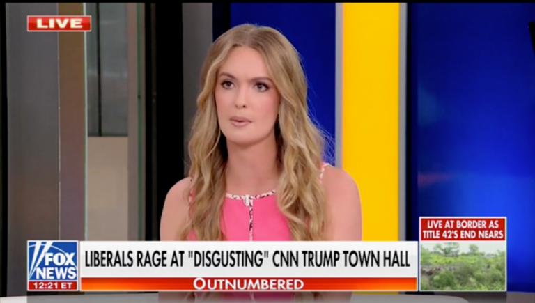 Kaylee McGhee: ‘Elitist’ mainstream media talks down to voters