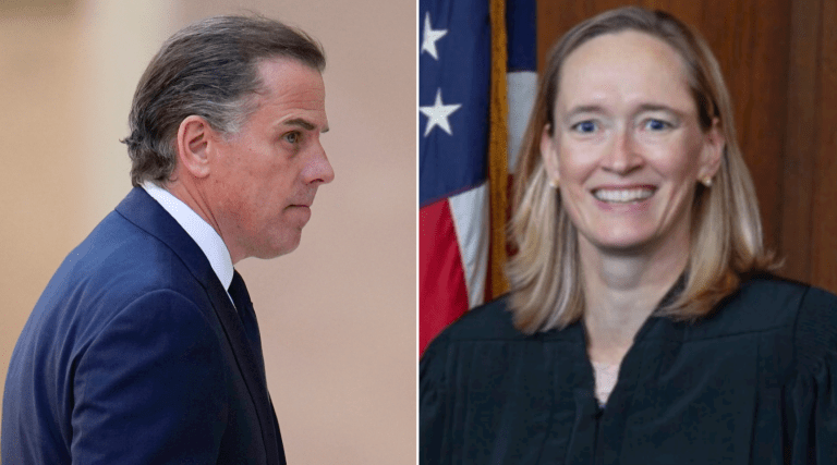Hunter Biden plea deal: Who is Maryellen Noreika, the judge who threw a ‘curveball’