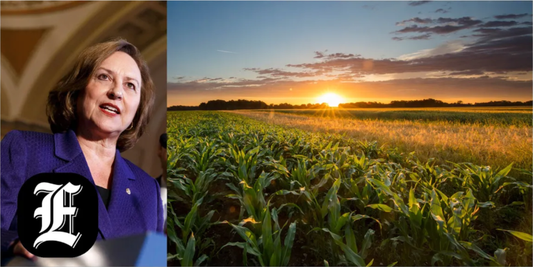 Sen. Deb Fischer on why it’s critical for the Senate to deliver a robust farm bill