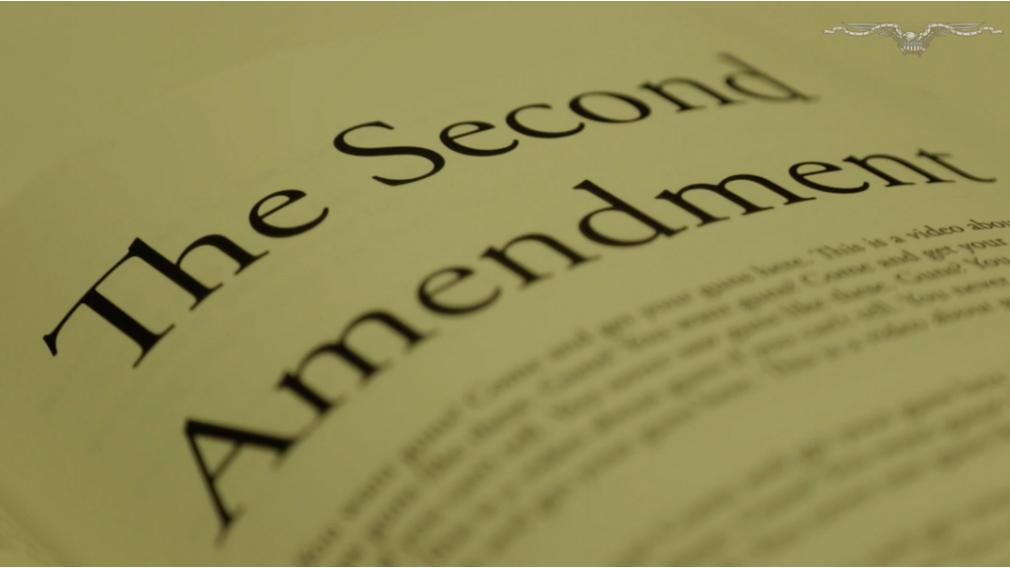 Barone’s Guide to Government: Second Amendment
