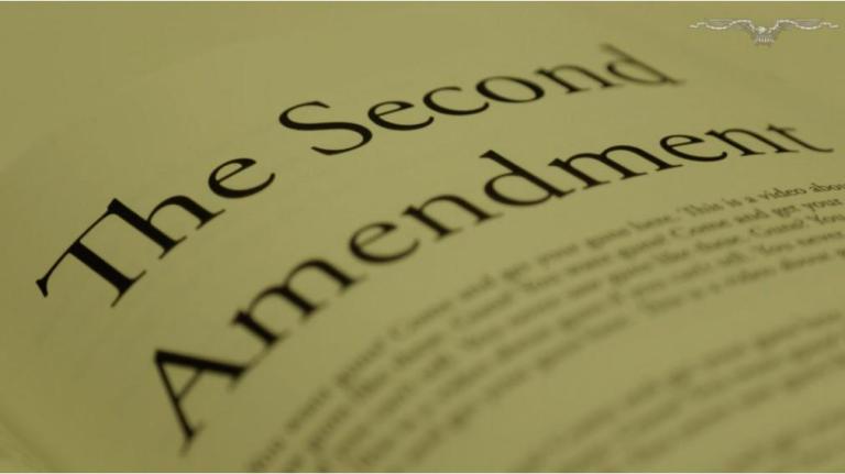 Barone’s Guide to Government: Second Amendment