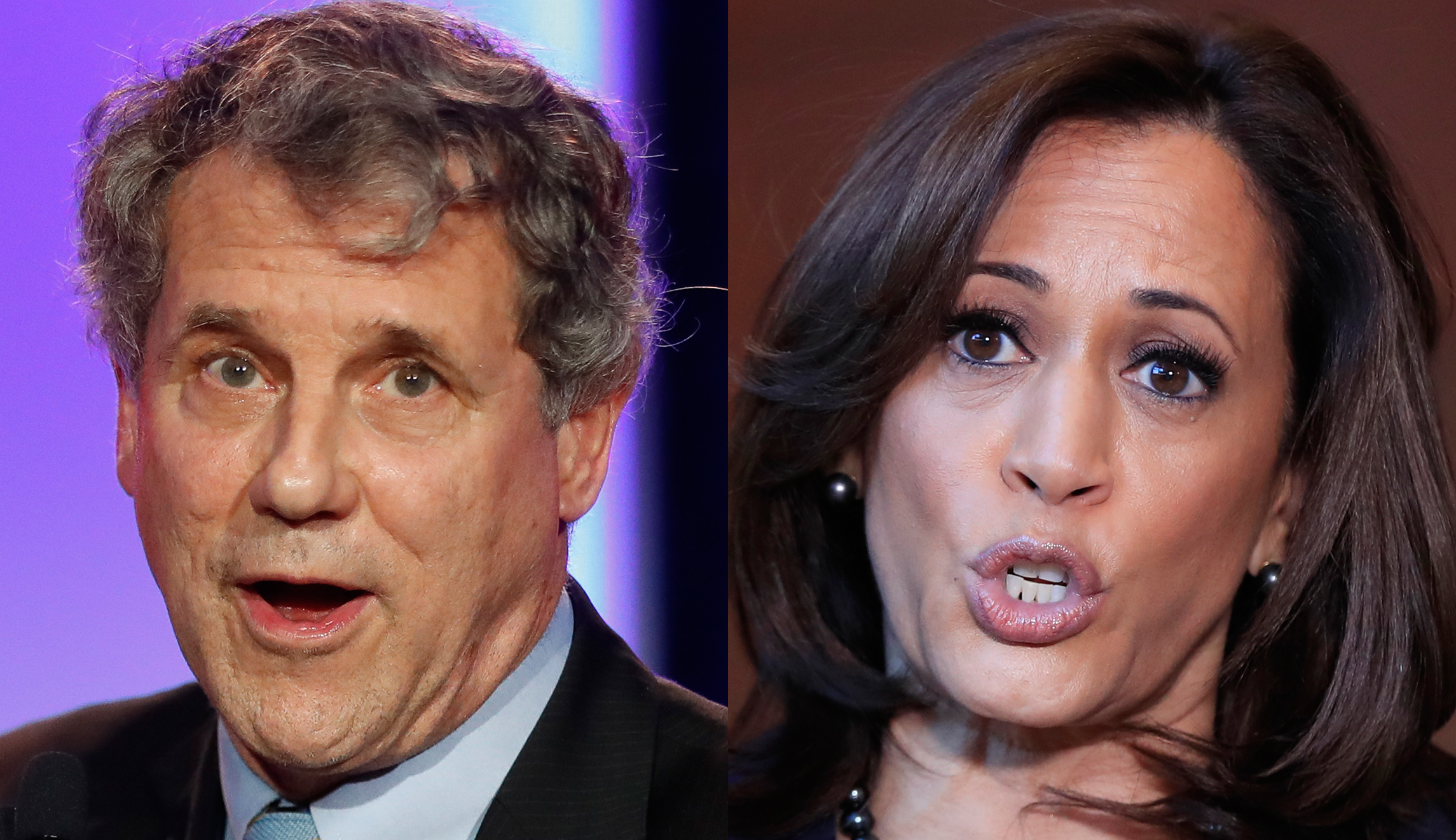 Sherrod Brown backs Kamala Harris plan to abolish private health insurance