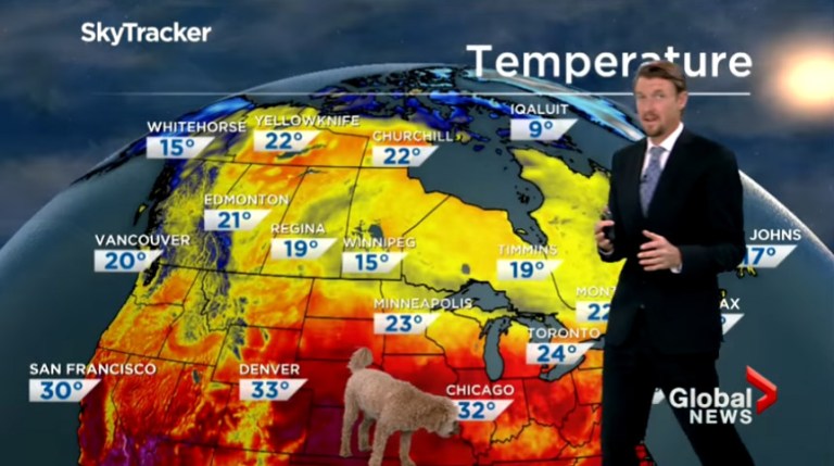 Global Toronto weatherman Anthony Farnell and his dog Storm.