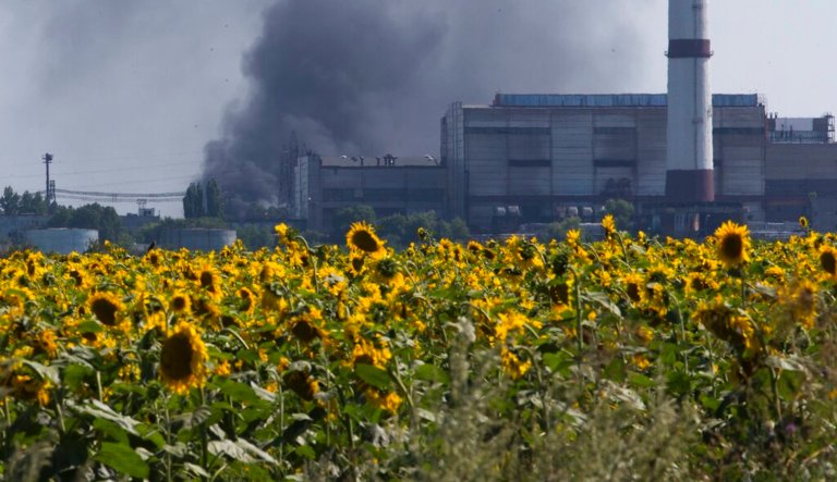 Smoke from an oil refinery rises over a field of sunflowers near the city of Lisichansk, Luhansk region, eastern Ukraine on July 26, 2014. Prices for food commodities like grains and vegetable oils reached their highest levels ever last month because of Russia's war in Ukraine and the âmassive supply disruptionsâ it is causing, the United Nations said Friday, April 8, 2022.