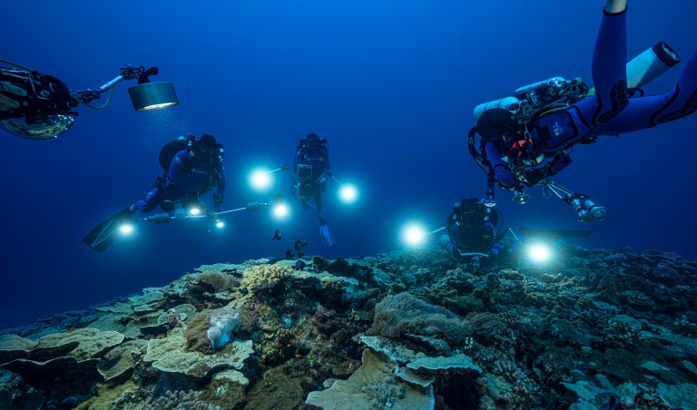Scuba divers aim their lights at a reef in the Pacific Ocean near Tahiti.