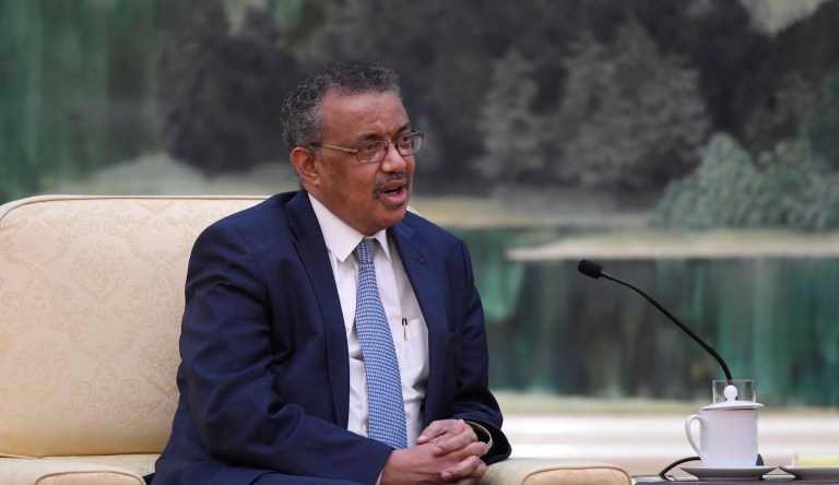 WHO to hold summit on traditional medicine