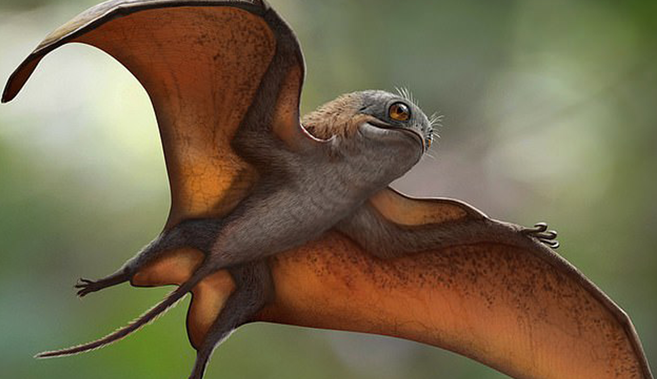 Then and Now: Dinosaurs