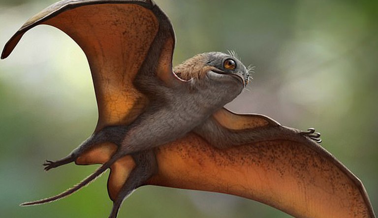 Then and Now: Dinosaurs